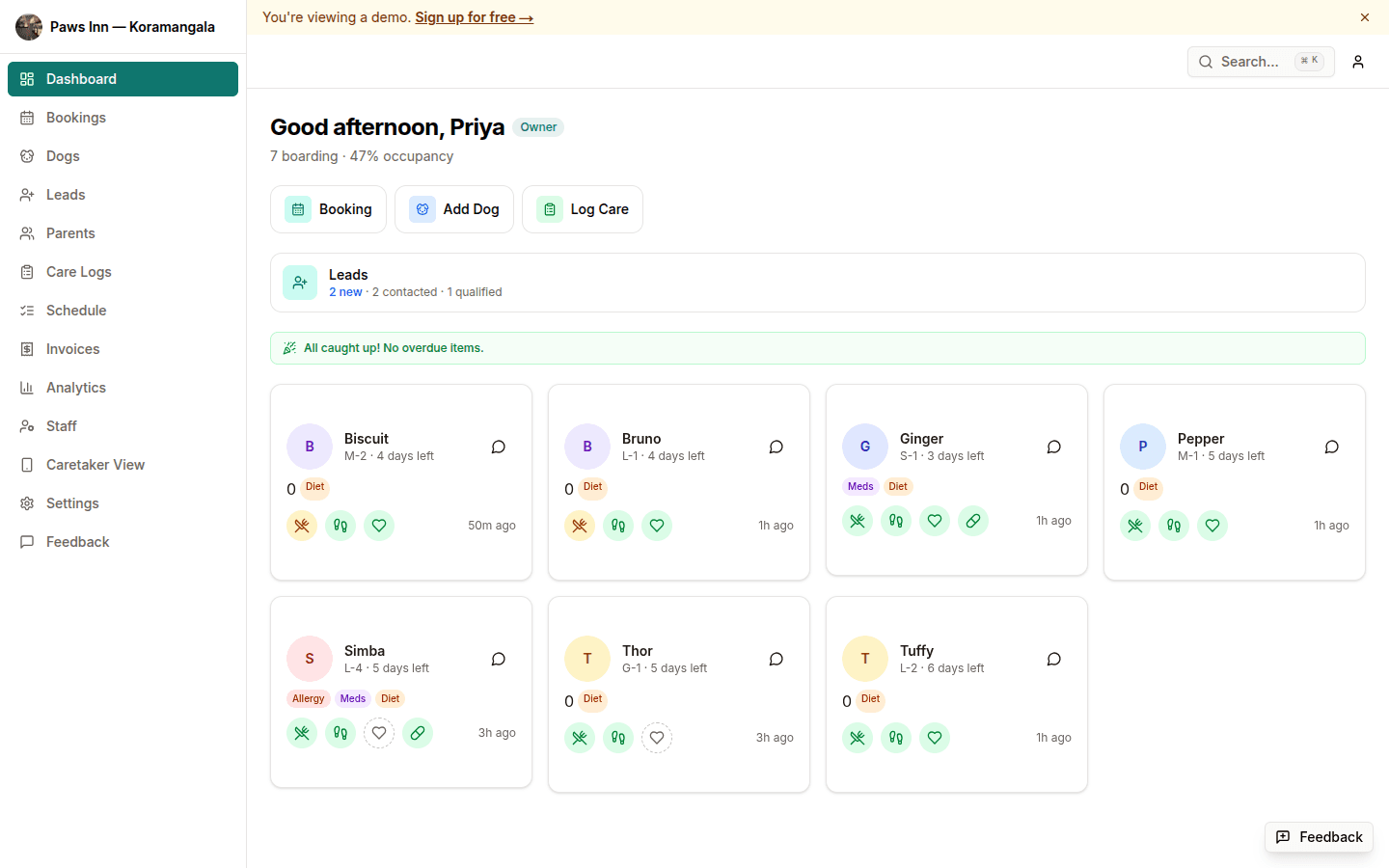 Today's dashboard showing all dogs currently on board, their status, and care tasks