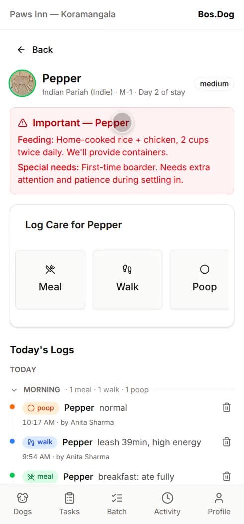 A caretaker logging a walk on their phone: type, duration and energy, one tap each