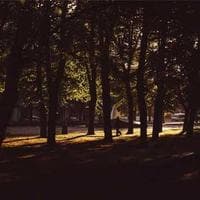 Paws Inn — Bandra logo