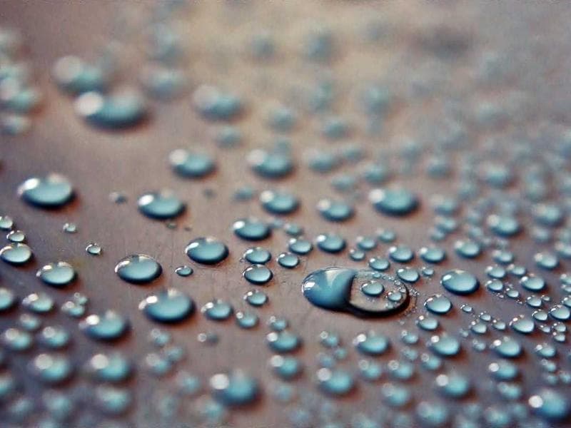 Morning walk path through our compound garden