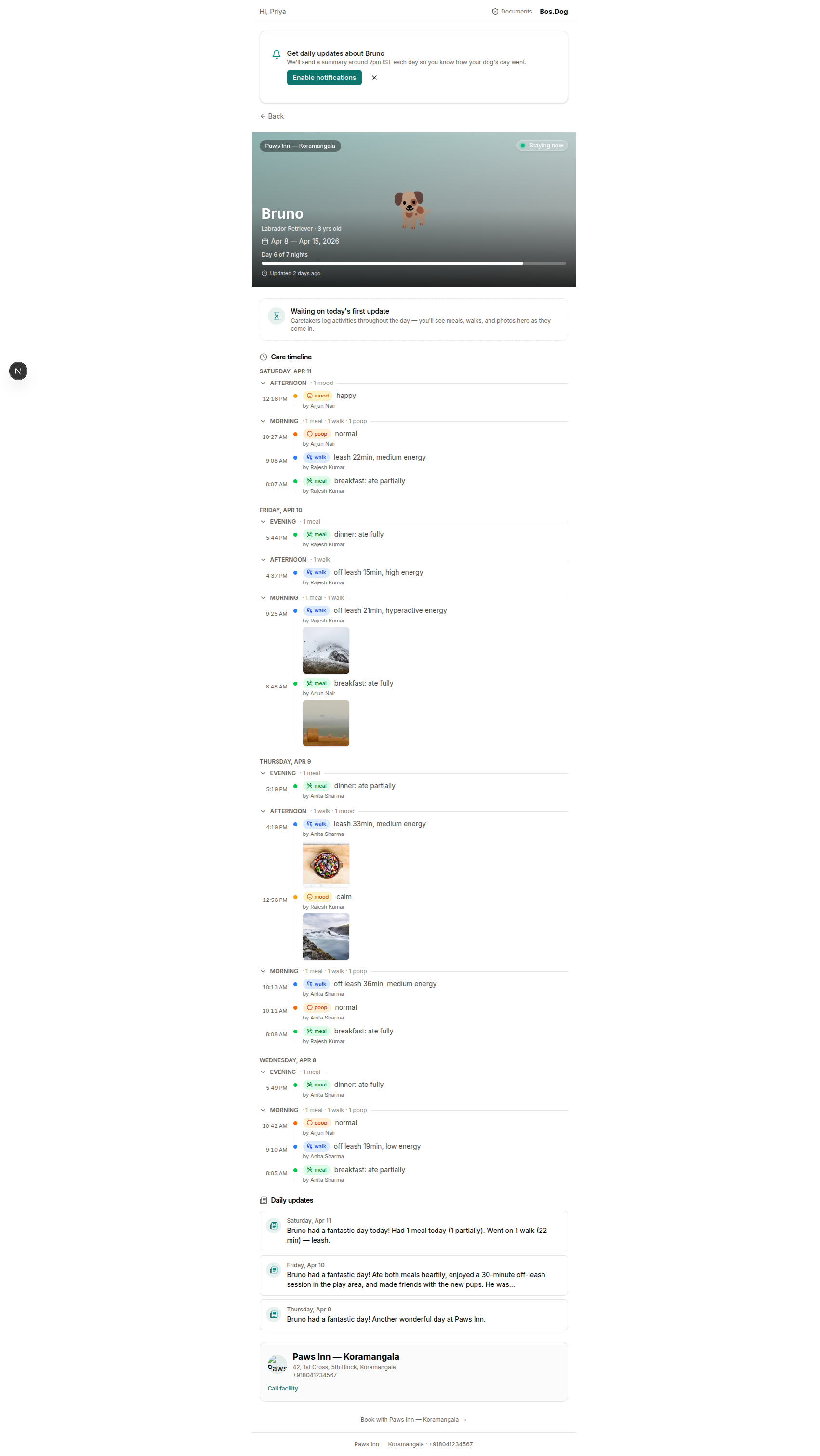 Stay detail page showing care timeline with meals, walks, mood, photos, and daily updates
