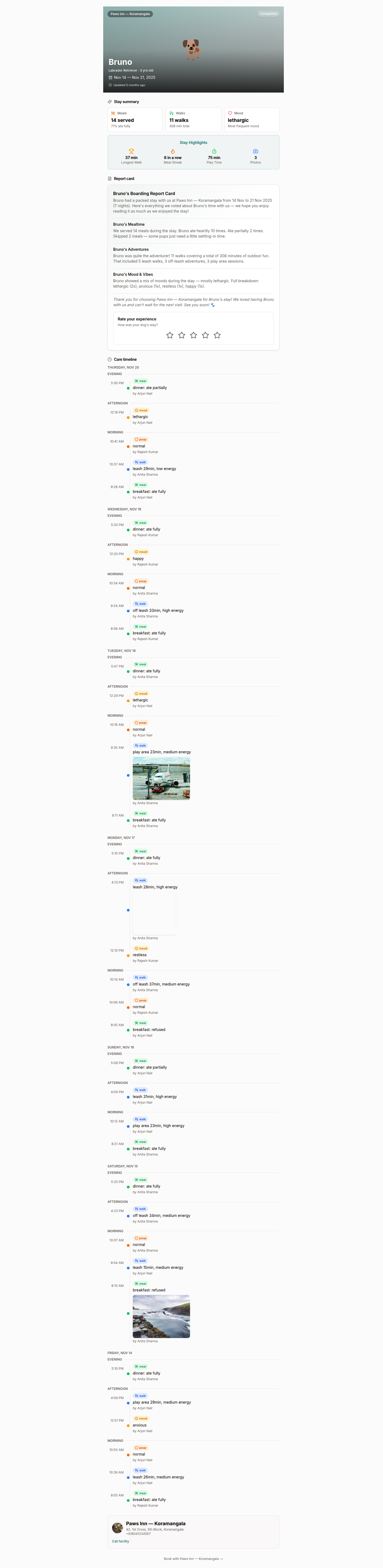 Report card as a parent sees it